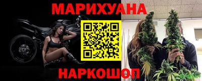 гашик Малгобек